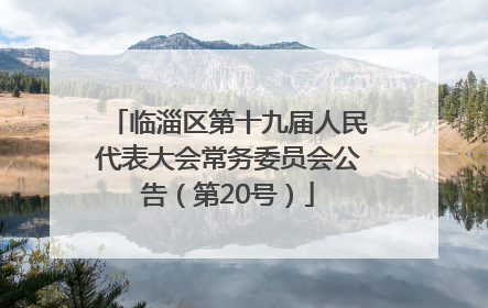 临淄区第十九届人民代表大会常务委员会公告（第20号）