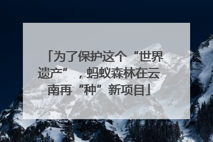 为了保护这个“世界遗产”，蚂蚁森林在云南再“种”新项目