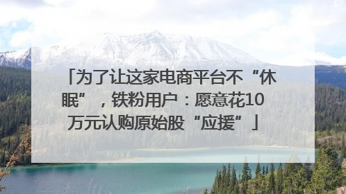 为了让这家电商平台不“休眠”，铁粉用户：愿意花10万元认购原始股“应援”