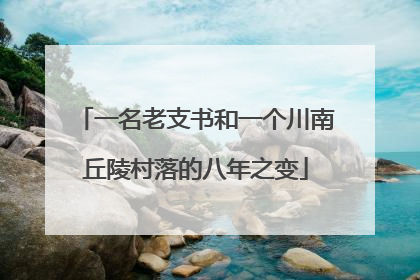 一名老支书和一个川南丘陵村落的八年之变