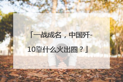 一战成名，中国歼-10靠什么火出圈？