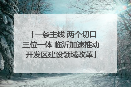 一条主线 两个切口 三位一体 临沂加速推动开发区建设领域改革