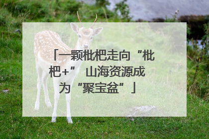 一颗枇杷走向“枇杷+” 山海资源成为“聚宝盆”
