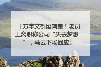万字文引爆阿里！老员工离职称公司“失去梦想”，马云下场回应