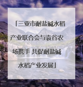 三亚市耐盐碱水稻产业联合会与袁谷农场携手 共促耐盐碱水稻产业发展