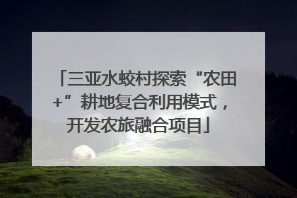 三亚水蛟村探索“农田+”耕地复合利用模式，开发农旅融合项目