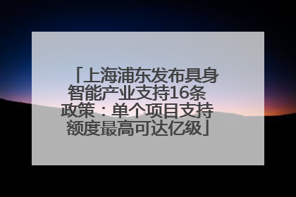 上海浦东发布具身智能产业支持16条政策：单个项目支持额度最高可达亿级