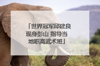 世界冠军邱建良现身彭山 指导当地职高武术班
