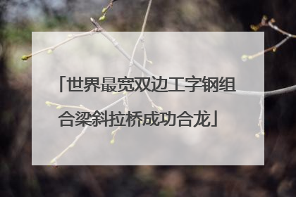 世界最宽双边工字钢组合梁斜拉桥成功合龙
