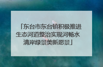 东台市东台镇积极推进生态河道整治实现河畅水清岸绿景美新愿景