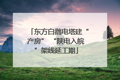 东方白鹳电塔建“产房” “陕电入皖”架线延工期