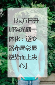 东方日升加码光储一体化：逆变器布局彰显逆势而上决心