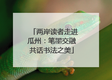 两岸读者走进瓜州：笔墨交融共话书法之美