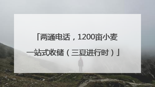 两通电话，1200亩小麦一站式收储（三夏进行时）