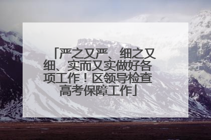 严之又严、细之又细、实而又实做好各项工作！区领导检查高考保障工作