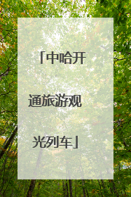 中哈开通旅游观光列车