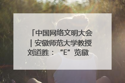 中国网络文明大会｜安徽师范大学教授刘道胜：“E”览徽风，构筑中华民族共有精神家园