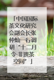 中国国际茶文化研究会副会长张仲灿一行调研“十二月令·非遗茶空间”