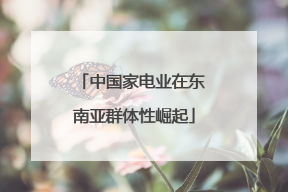 中国家电业在东南亚群体性崛起