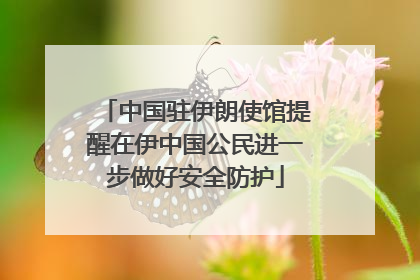 中国驻伊朗使馆提醒在伊中国公民进一步做好安全防护