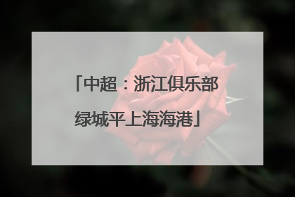 中超：浙江俱乐部绿城平上海海港