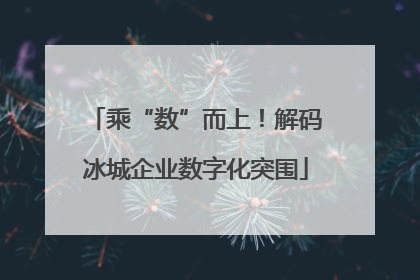 乘“数”而上！解码冰城企业数字化突围