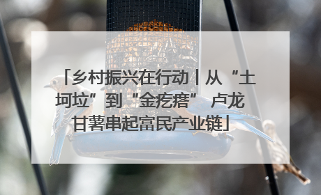 乡村振兴在行动丨从“土坷垃”到“金疙瘩” 卢龙甘薯串起富民产业链