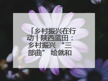 乡村振兴在行动丨陕西蓝田：乡村振兴 “三部曲” 绘就和美乡村新画卷