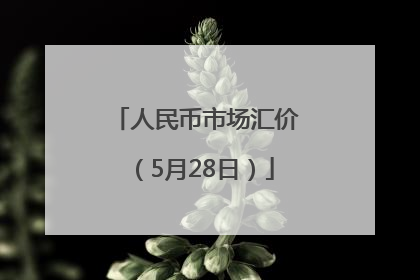 人民币市场汇价（5月28日）