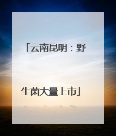 云南昆明：野生菌大量上市