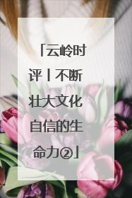 云岭时评丨不断壮大文化自信的生命力②
