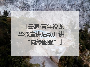 云洞·青年说龙华微宣讲活动开讲“向绿图强”