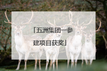 五洲集团一参建项目获奖