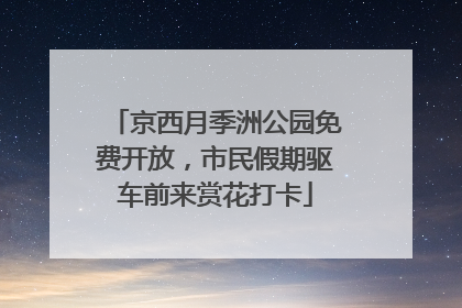 京西月季洲公园免费开放，市民假期驱车前来赏花打卡