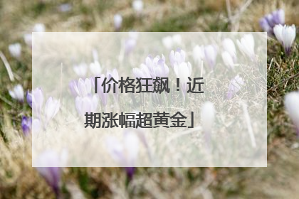 价格狂飙！近期涨幅超黄金