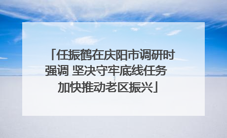 任振鹤在庆阳市调研时强调 坚决守牢底线任务 加快推动老区振兴