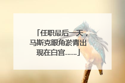 任职最后一天，马斯克眼角淤青出现在白宫……