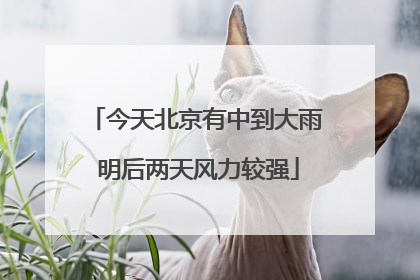 今天北京有中到大雨 明后两天风力较强