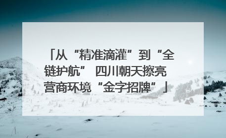 从“精准滴灌”到“全链护航” 四川朝天擦亮营商环境“金字招牌”