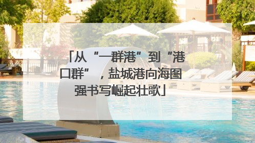 从“一群港”到“港口群”，盐城港向海图强书写崛起壮歌