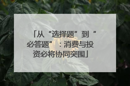 从“选择题”到“必答题”：消费与投资必将协同突围