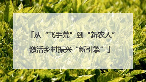 从“飞手荒”到“新农人” 激活乡村振兴“新引擎”