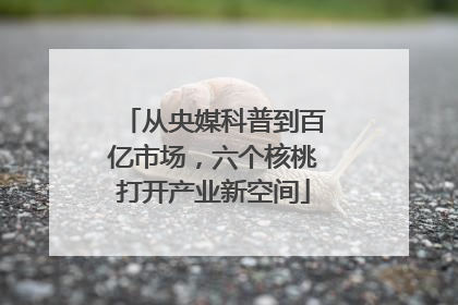 从央媒科普到百亿市场，六个核桃打开产业新空间
