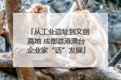 从工业遗址到文创高地 成都邀港澳台企业家“话”发展
