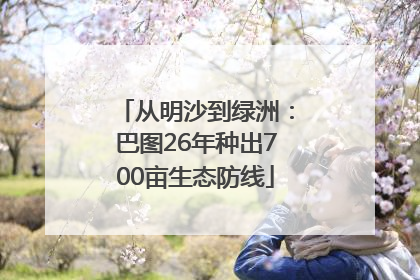 从明沙到绿洲：巴图26年种出700亩生态防线