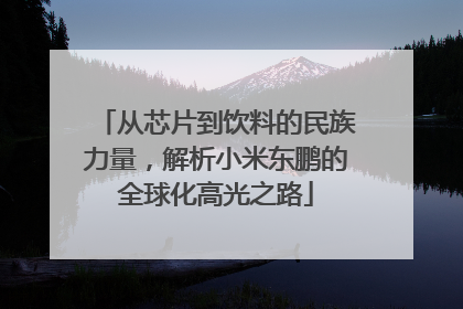 从芯片到饮料的民族力量，解析小米东鹏的全球化高光之路