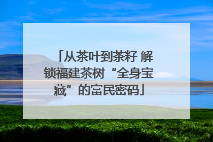 从茶叶到茶籽 解锁福建茶树“全身宝藏”的富民密码