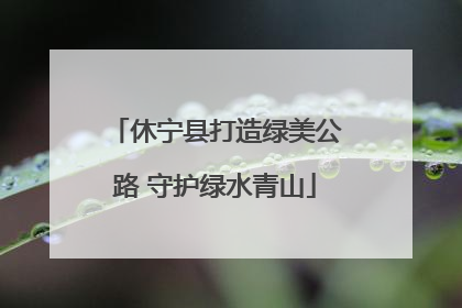 休宁县打造绿美公路 守护绿水青山