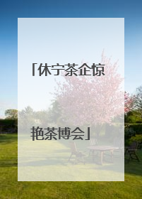 休宁茶企惊艳茶博会