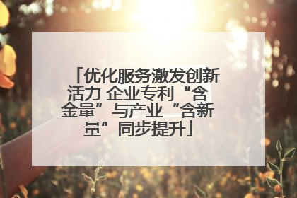 优化服务激发创新活力 企业专利“含金量”与产业“含新量”同步提升